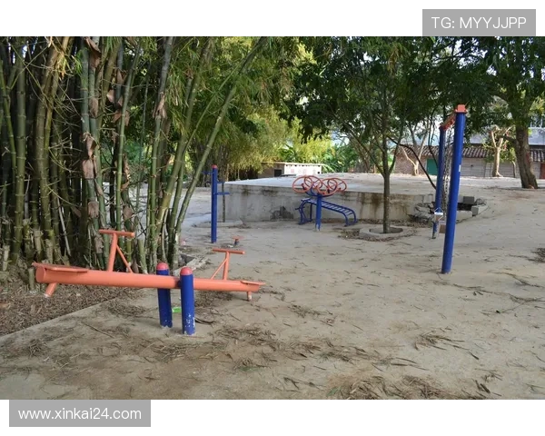 学校健身器材批发采购指南：品类搭配与预算控制