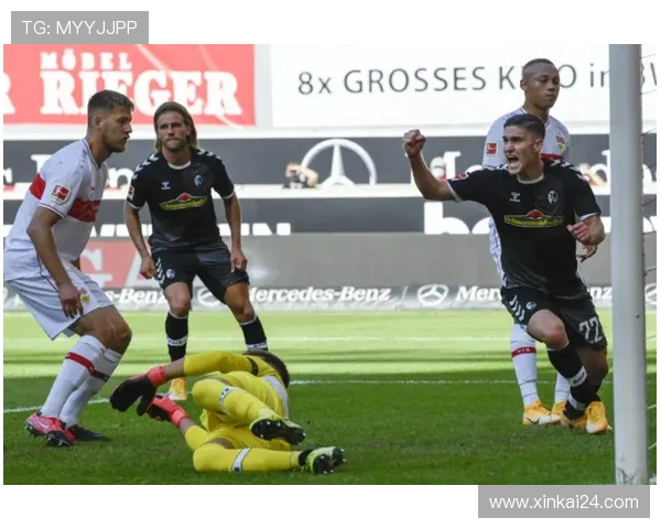 德甲全民俱乐部名单与球迷持股比例